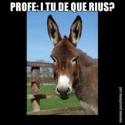 PROFE: I TU DE QUE RIUS?