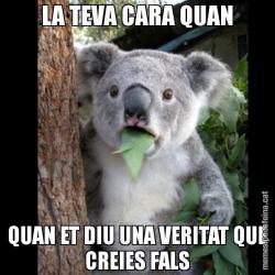 LA TEVA CARA QUAN QUAN ET DIU UNA VERITAT QUE CREIES FALS