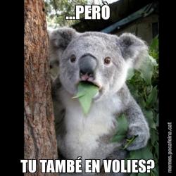 ...PERÒ TU TAMBÉ EN VOLIES?