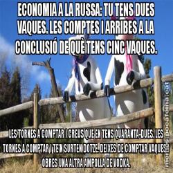 ECONOMIA A LA RUSSA: TU TENS DUES VAQUES. LES COMPTES I ARRIBES A LA CONCLUSIÓ DE QUÈ TENS CINC VAQUES. LES TORNES A COMPTAR I CREUS QUE EN TENS QUARANTA-DUES. LES TORNES A COMPTAR I TE'N SURTEN DOTZE. DEIXES DE COMPTAR VAQUES I OBRES UNA ALTRA AMPOLLA DE VODKA.