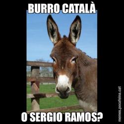 BURRO CATALÀ O SERGIO RAMOS?