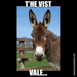 T'HE VIST VALE...