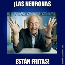 ¡LAS NEURONAS ESTÁN FRITAS!