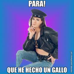 PARA! QUE HE HECHO UN GALLO