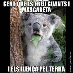 GENT QUE ES TREU GUANTS I MASCARETA I ELS LLENÇA PEL TERRA