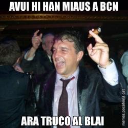 AVUI HI HAN MIAUS A BCN ARA TRUCO AL BLAI