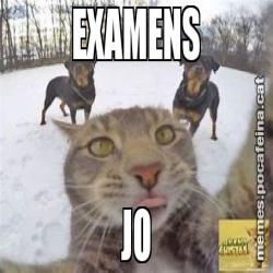 EXAMENS JO