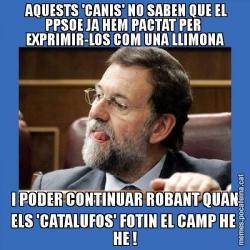 AQUESTS 'CANIS' NO SABEN QUE EL PPSOE JA HEM PACTAT PER  EXPRIMIR-LOS COM UNA LLIMONA I PODER CONTINUAR ROBANT QUAN ELS 'CATALUFOS' FOTIN EL CAMP HE  HE !
