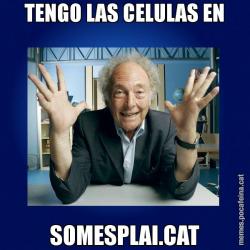 TENGO LAS CELULAS EN SOMESPLAI.CAT