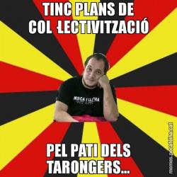TINC PLANS DE COL·LECTIVITZACIÓ PEL PATI DELS TARONGERS...