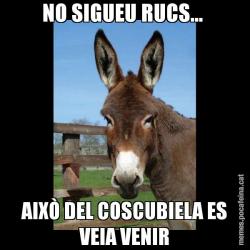 NO SIGUEU RUCS...  AIXÒ DEL COSCUBIELA ES VEIA VENIR