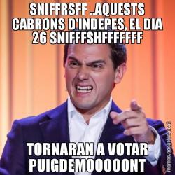 SNIFFRSFF ..AQUESTS CABRONS D'INDEPES, EL DIA 26 SNIFFFSHFFFFFFF TORNARAN A VOTAR PUIGDEMOOOOONT