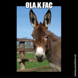 OLA K FAÇ