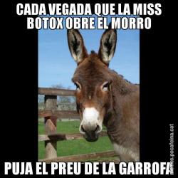CADA VEGADA QUE LA MISS BOTOX OBRE EL MORRO PUJA EL PREU DE LA GARROFA