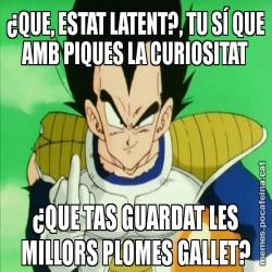 ¿QUE, ESTAT LATENT?, TU SÍ QUE AMB PIQUES LA CURIOSITAT ¿QUE TAS GUARDAT LES MILLORS PLOMES GALLET?