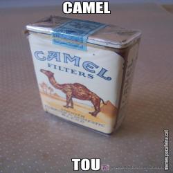 CAMEL TOU
