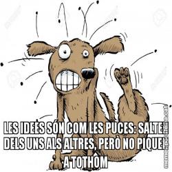 LES IDEES SÓN COM LES PUCES: SALTEN DELS UNS ALS ALTRES, PERÒ NO PIQUEN A TOTHOM