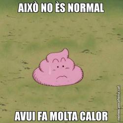 AIXÒ NO ÈS NORMAL AVUI FA MOLTA CALOR