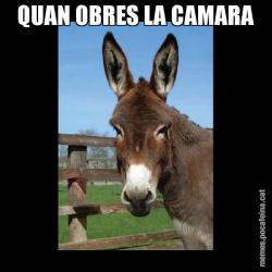 QUAN OBRES LA CAMARA