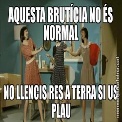 AQUESTA BRUTÍCIA NO ÉS NORMAL NO LLENCIS RES A TERRA SI US PLAU