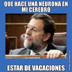 QUE HACE UNA NEURONA EN MI CEREBRO ESTAR DE VACACIONES