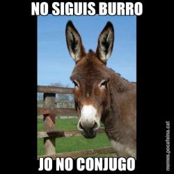 NO SIGUIS BURRO JO NO CONJUGO