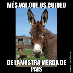 MÉS VAL QUE US CUIDEU DE LA VOSTRA MERDA DE PAÍS