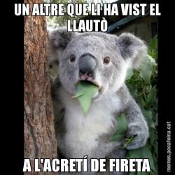 UN ALTRE QUE LI HA VIST EL LLAUTÒ A L'ACRETÍ DE FIRETA