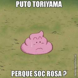 PUTO TORIYAMA PERQUE SOC ROSA ?
