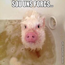 SOU UNS PORCS...