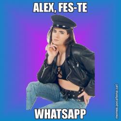 ALEX, FES-TE WHATSAPP
