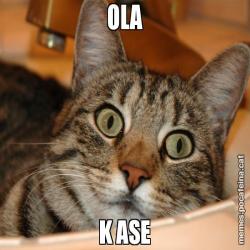 OLA K ASE