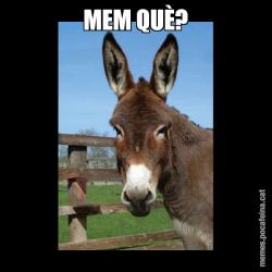 MEM QUÈ?