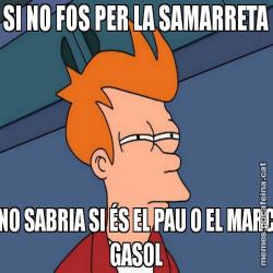 SI NO FOS PER LA SAMARRETA NO SABRIA SI ÉS EL PAU O EL MARC GASOL