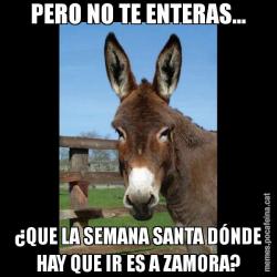 PERO NO TE ENTERAS... ¿QUE LA SEMANA SANTA DÓNDE HAY QUE IR ES A ZAMORA?