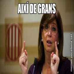 AIXÍ DE GRANS