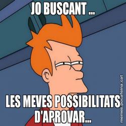 JO BUSCANT ... LES MEVES POSSIBILITATS D'APROVAR...