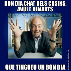 BON DIA CHAT DELS COSINS. AVUI E DIMARTS QUE TINGUEU UN BON DIA