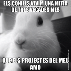 ELS CONILLS VIVIM UNA MITJA DE TRES VEGADES MÉS QUE ELS PROJECTES DEL MEU AMO