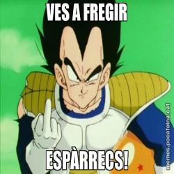 VES A FREGIR ESPÀRRECS!