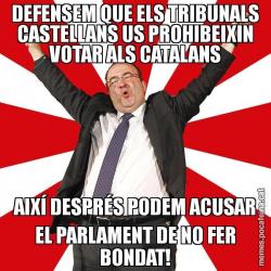 DEFENSEM QUE ELS TRIBUNALS CASTELLANS US PROHIBEIXIN VOTAR ALS CATALANS AIXÍ DESPRÉS PODEM ACUSAR EL PARLAMENT DE NO FER BONDAT!