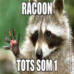 RACOON TOTS SOM 1