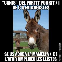 "CANIS"  DEL PARTIT PODRIT / I DE C'S FALANGISTES SE US ACABA LA MAMELLA /  DE L'ATUR OMPLIREU LES LLISTES