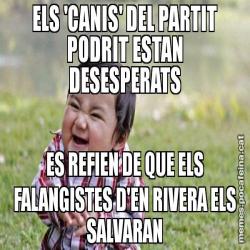 ELS 'CANIS' DEL PARTIT PODRIT ESTAN DESESPERATS ES REFIEN DE QUE ELS FALANGISTES D'EN RIVERA ELS SALVARAN