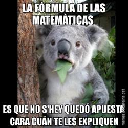 LA FÒRMULA DE LAS MATEMÀTICAS  ES QUE NO S'HEY QUEDÓ APUESTA CARA CUÁN TE LES EXPLIQUEN