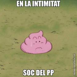 EN LA INTIMITAT SOC DEL PP