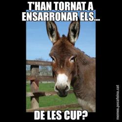 T'HAN TORNAT A ENSARRONAR ELS... DE LES CUP?