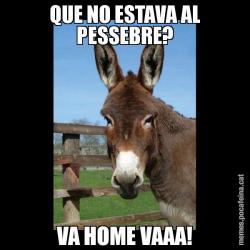QUE NO ESTAVA AL PESSEBRE? VA HOME VAAA!