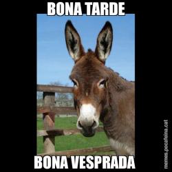 BONA TARDE BONA VESPRADA