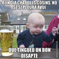 BON DIA CHAT DELS COSINS. NO SE SI PLOURA AVUI QUE TINGUEU UN BON DISAPTE
